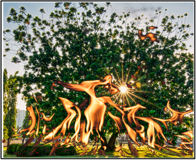 arbre_folie